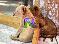 -北京野生动物园