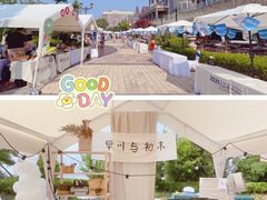 -星光岛