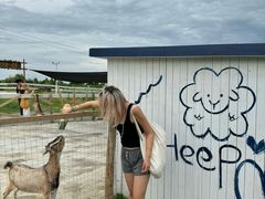 -军山湖云水间生态农业旅游景区
