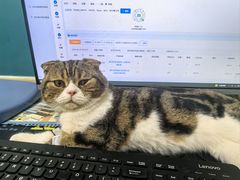 -乖乖宠物医院·猫科·急重症中心(车站北路分院)
