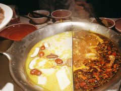 -九鼎轩脆毛肚火锅(三钢里店)