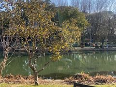 -昆山城市生态森林公园