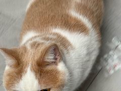-酷狗靓猫宠物·洗护·美容·寄养(航北路店)