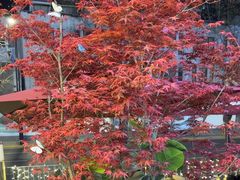 -雪熊精酿·哈尔滨烧烤酒馆(非遗大串店)