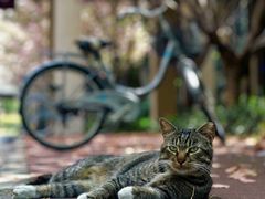 -上海财经大学(国定路校区)