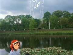 -白鹭湾湿地公园