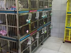 -爱宠屋pet shop·宠物洗澡·宠物美容