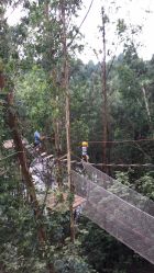 -成都飞越丛林(锦绣城园区)