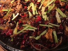 -老板恋上鱼(印象城店)