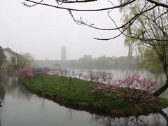 -乌镇东栅景区