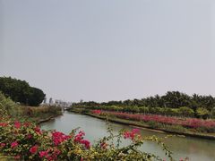 -万绿园