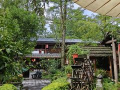 -青城甲(青城山店)