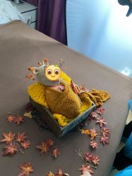 -海豚湾高端月子会所(黄浦店)