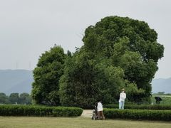 -良渚古城遗址公园