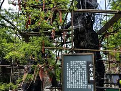 -水峪民俗村