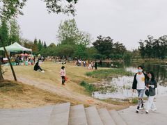 -两河城市森林公园