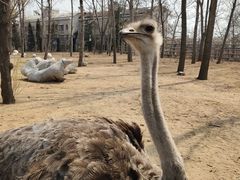 -大连森林动物园