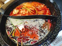 -渝大龙重庆火锅(温泉月亮湾店)