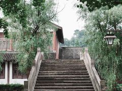 -鲁镇