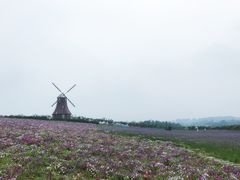 -紫颐香薰山谷景区