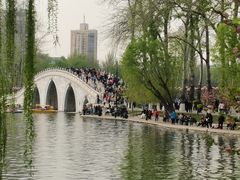 -西域美食兰州老马拉面(正阳大街店)