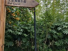 -上海崇明金茂凯悦酒店