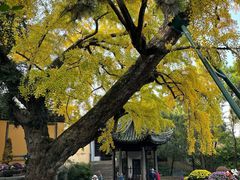 -无锡惠山寺