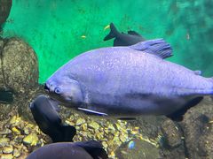 -常州海昌海洋探索馆