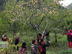 -叠溪松坪沟景区