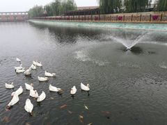 -水云涧温泉滑雪度假区