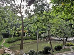 -火炉山森林公园