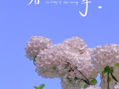 -漕湖湿地公园