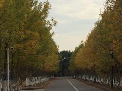 -江南大学(蠡湖校区)