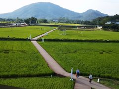 -风云岭森林公园