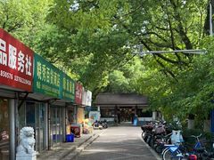 -瀛洲公园