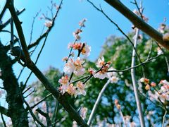 -白马涧龙池景区
