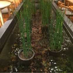三楼-悦诗风吟innisfree