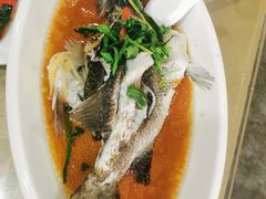-潘先生海鲜城(神州半岛店)