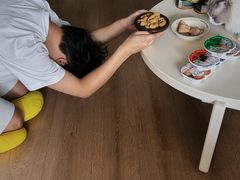 -帕帕拉兹宠物(亚洲旗舰店)