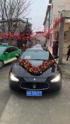 -蚂蚁婚车