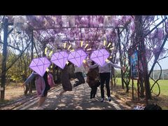 -武汉紫薇都市田园