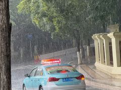 -昆明动物园