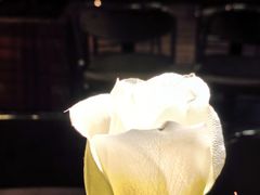 -岛风·台食小馆 ISLAND BISTRO(烟台山店)