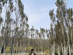-东郊湿地公园