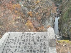-茅兰沟国家森林公园