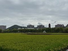 -长兴太湖图影湿地文化园