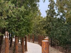 -白水寺森林公园