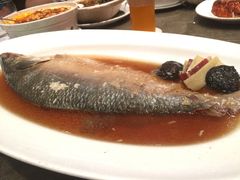 鲥鱼-苏浙汇(古北店)