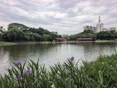 -映月湖公园