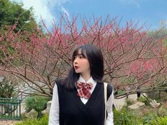 -重庆彩云湖湿地公园